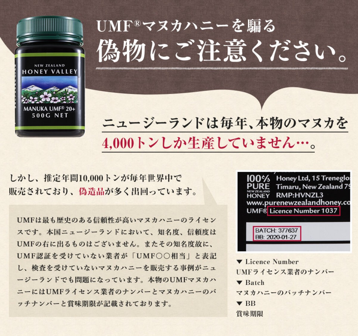 ハニーバレー　マヌカハニー　アクティブ１８＋　250g ハニーバレー UMF20+ マヌカハニー 250g